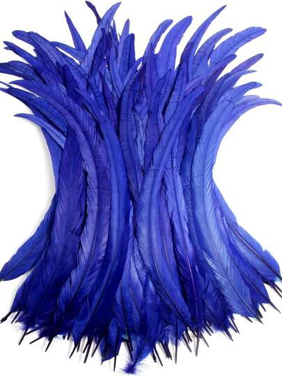 100根公鸡尾羽，25-35厘米/10-14英寸，适用于嘉年华派对表演服装装饰、DIY头饰羽毛、婚礼装饰头饰羽毛