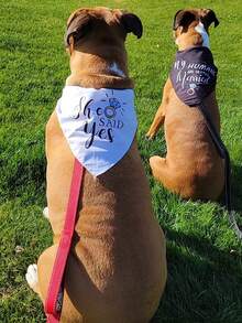 1pc Pet Triangular Bandana Bib, Dog Cat Triangle Scarf Collar, Suitable For Engagement Party, Wedding And Other Occasions, My Owner Is Getting Married - Multicolor - View 5