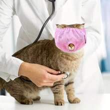 1个猫咪防咬透气面罩，柔软耐用，防咬防啃咬设计，适用于美容院、宠物诊所、修剪指甲和牙齿护理，易于清洁，佩戴舒适，可调节。 - 彩色 - 查看 5