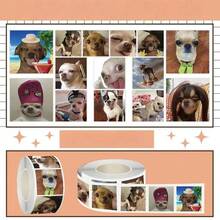 搞笑吉娃娃表情包 - 卷毛贴纸，可爱宠物趣味DIY笔记本装饰贴纸，学生恶作剧贴纸，创意笔记本封口贴纸，可爱狗狗日常场景素材 - 彩色 - 查看 6