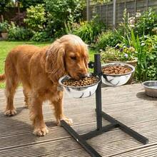 Comedero Elevated For Dogs With Inoxidable Iron, Food Storage System For Dogs And Cats, Easy To Clean And Last - 18*18*7CM - Xem 4