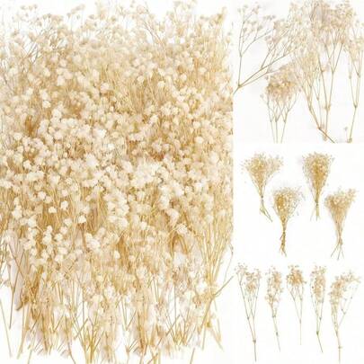 30pcs (6 Bundles) Real Natural Dried Baby's Breath Flowers - Bulk Mini Gypsophila Stems, Ivory White Wedding Bouquet For DIY Crafts, Wedding Decor, Table Centerpieces, Preserved Flowers Bulk For Resin, Scrapbooking & Hair - Never