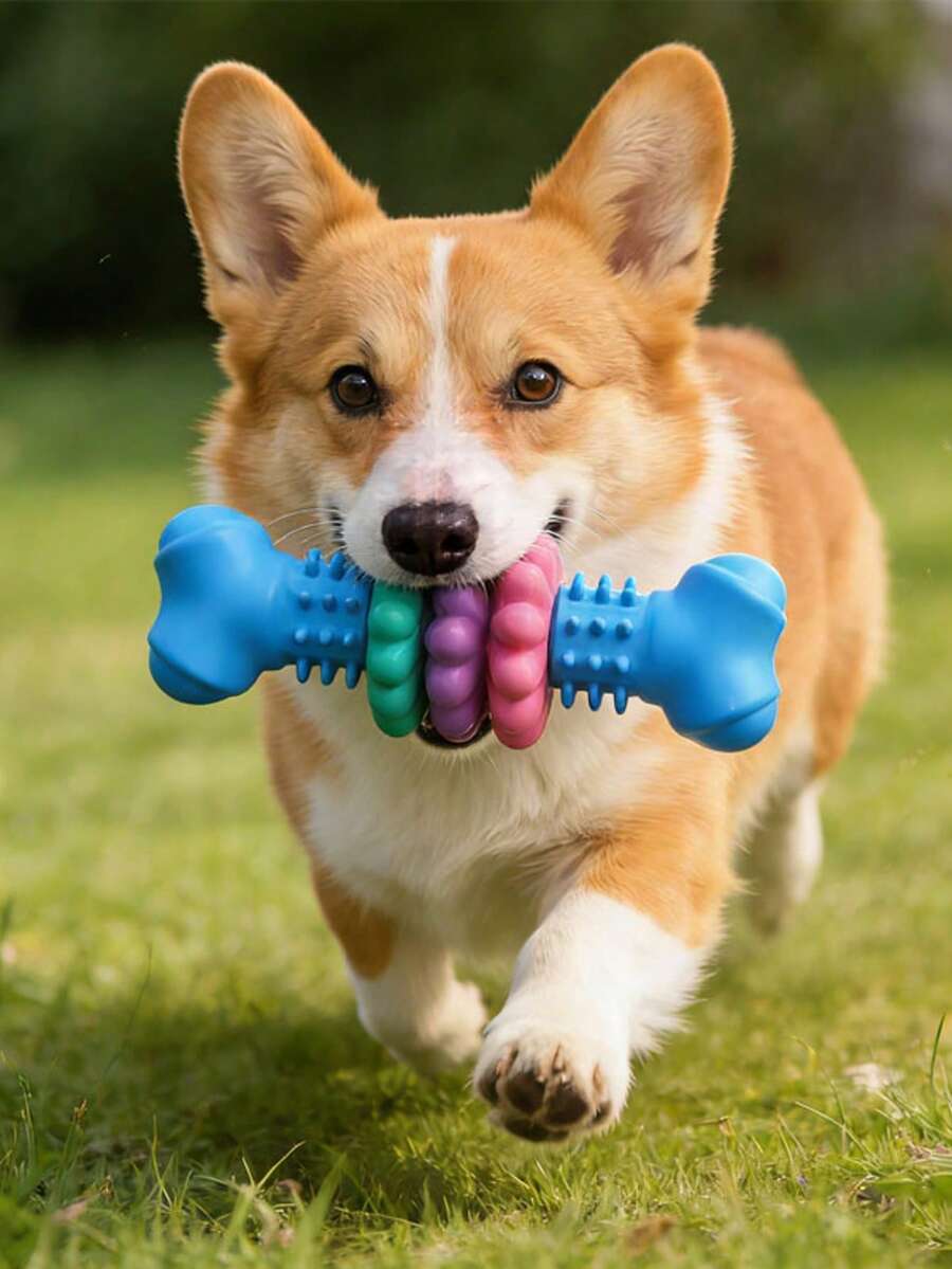 耐用橡胶骨头磨牙玩具，适合幼犬、小型和中型犬，有助于缓解出牙焦虑，宠物玩耍玩具