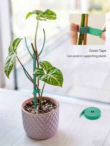 5个装，花园植物支撑杆，可堆叠塑料植物支撑环，1卷自粘扎带，可调节植物支撑杆，叶片保护杆，兰花支撑杆，适用于攀援植物、苔藓、室内外盆栽花卉 - 彩色 - 查看 3