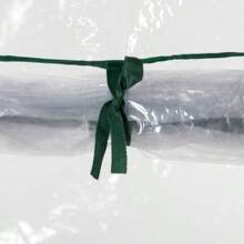 Greenhouse, Hothouse, Tomato House, Cold Frame With Roll-Up Door, Steel And Plastic, Transparent, 100x50x150cm