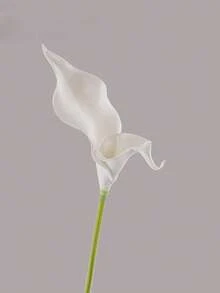 5pcs High Quality Artificial Calla Lily Flowers Home Decor, Living Room Floral Decoration, Fake Flowers Garden Party Decor, Artificial Flower & Plant, Suitable For Valentine's Day Gift, Birthday Party, Wedding Decoration, Bouquet Making, Spring Festival Decor - Multicolor - View 7