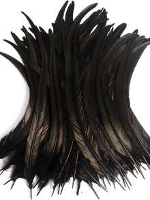 100根公鸡尾羽，25-35厘米/10-14英寸，适用于嘉年华派对表演服装装饰、DIY头饰羽毛、婚礼装饰头饰羽毛 - 彩色 - 查看 18