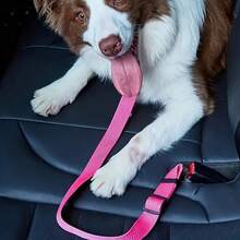 1pc Adjustable Pet Car Safety Harness And Leash, Suitable For Small To Medium Cats And Dogs - Multicolor - View 7