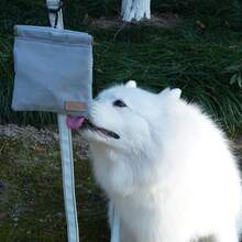 Outdoor Dog Walking Pet Snack Bag, Waterproof Canvas Dog Poop Bag Dispenser With Elastic Clip, Dog Food Bag - Multicolor - View 4