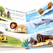 Toddler English Early Education Board Book - Usborne Lift The Flap: Why Do I To Go To Bed ? Kids Science Cognitive Q&A Popular Science Book - Multicolor - View 9