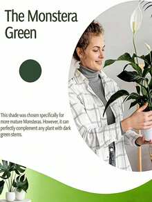 5个装，花园植物支撑杆，可堆叠塑料植物支撑环，1卷自粘扎带，可调节植物支撑杆，叶片保护杆，兰花支撑杆，适用于攀援植物、苔藓、室内外盆栽花卉 - 彩色 - 查看 4