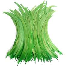 100根公鸡尾羽，25-35厘米/10-14英寸，适用于嘉年华派对表演服装装饰、DIY头饰羽毛、婚礼装饰头饰羽毛 - 彩色 - 查看 5