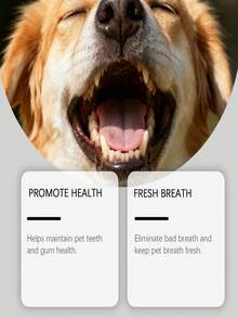 狗狗牙齿喷雾 - 温和护理，清洁口腔，保持口气清新，日常护理喷雾；宠物口腔护理液 - 温和清洁宠物牙垢，清新口气，清洁牙齿 - 彩色 - 查看 5