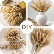 Genérico 150 Piezas de Colas de Conejo y Hierba Pampas – Decoraciones Florales de Estilo Bohemio, para Decoración de Hogar, Sala, Dormitorio y Bodas (Sin Mantenimiento, Jarrón No Incluido)(default) - Multicolor - Ver 6