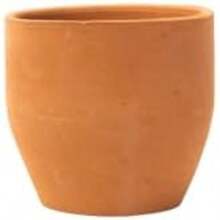PISUMMA Maceta de Barro Modelo Taza No. 1 9 x 8 cm. | para Suculentas, Cactus y Mini Bonsáis | Acabado Terracota Artesanal Mexicano | Decoración Natural para Interior y Exterior(CH) - Multicolor - Ver 1