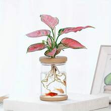 植物繁殖台，客厅卧室独立式桌面花瓶，婚礼、情人节、母亲节装饰花瓶…… - 無色 - 查看 1