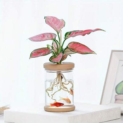 植物繁殖台，客厅卧室独立式桌面花瓶，婚礼、情人节、母亲节装饰花瓶……