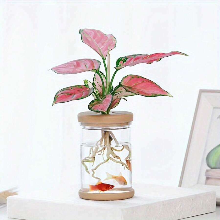 植物繁殖台,客厅卧室独立式桌面花瓶,婚礼、情人节、母亲节装饰花瓶…… - 無色 - 查看 1