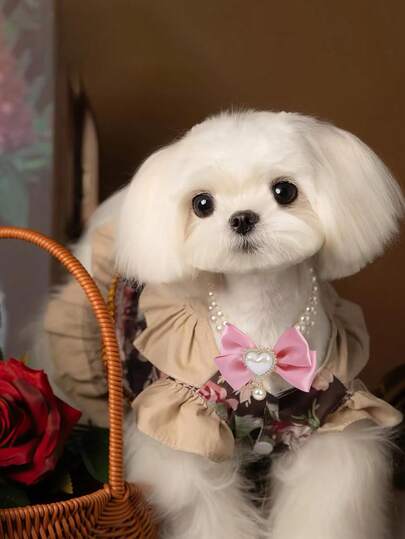 2-Layer Faux Pearl Bow Pendant Pet Necklace, Adjustable Gold Chain Necklace With Cute Heart Pendant, Suitable For Small/Medium Pets, Lovely Double Pearl Bow Necklace, Perfect For Outdoor Activities, Valentine's Day Gift