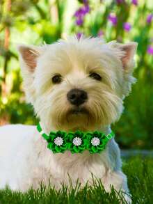 5件套绿色圣帕特里克节小型和中型犬专用多头领带装饰，适合美容摄影装饰领带花，舒适优雅的装饰配件，款式随机 - 彩色 - 查看 4