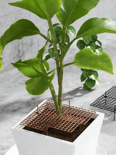 1个可裁剪花盆花土防溢空心保护网，植物盆网格土壤盖，防猫挖掘止土器带安全桩，室内植物防溢花盆土壤保护罩，园艺配件，防止土壤流失和宠物扰动