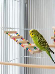 Colorful Wooden Beaded Bird Ladder Toy, Cute Minimalist Hanging Climbing Ladder For Exercise, Chewing And Boredom Relief, Suitable For Parrots, Parakeets And Other Small To Medium Pet Birds(Accessories Will Be Shipped In Random Colors) - Classic Straight Ladder - View 6