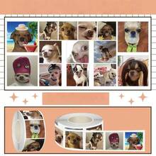 搞笑吉娃娃表情包 - 卷毛贴纸，可爱宠物趣味DIY笔记本装饰贴纸，学生恶作剧贴纸，创意笔记本封口贴纸，可爱狗狗日常场景素材 - 彩色 - 查看 4