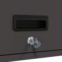 vidaXL Armoire murale pour garage Noir 90 x 33 x 35 cm - Noir - Voir 11