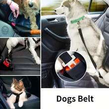 1pc Adjustable Pet Car Safety Harness And Leash, Suitable For Small To Medium Cats And Dogs - Multicolor - View 2