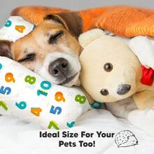 para nios pequeos con funda de almohada, 13 pulgadas x 18 pulgadas, My Little Dreamy Kids Travel Bed Pillows para dormir, funda de almohada pequea de algodn orgnico, suave y transpirable - Dinosaurio123 - Ver 8