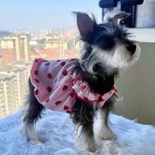 Pet Cat Dog Strawberry Dress, Sleeveless Princess Dress, Lightweight Anti-Shedding Clothes For Small Dogs, Spring/Summer - Multicolor - View 2