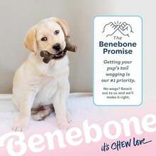 Benebone Puppy 2-Pack Dental Chew/Wishbone Dog Chew Toys, Made In USA, Real Bacon Flavor - Stick - Small-REAL Maplewood-1 Pack - 查看 6