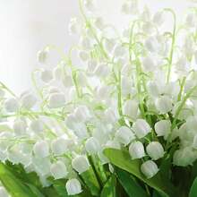 1 Bó hoa loa kèn trắng nhân tạo - Thích hợp cho đám cưới, lễ đính hôn, trang trí nhà cửa - Đa năng cho ngày Valentine và lễ tốt nghiệp - Hoa trang trí bàn không cần chậu - Món quà hoàn hảo cho người yêu thích trang trí nhà cửa và người tổ chức sự kiện (Một bộ gồm 6 nhánh) - trắng - Xem 7