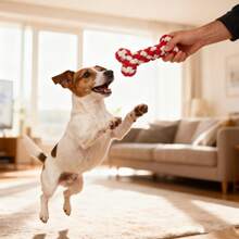 4-Piece Dog Rope Toys Set: Unique Shapes, Tightly Braided Cotton Rope For Durable Chewing & Teeth Grinding - Multicolor - View 10