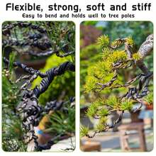 Fili per modellare e formare le piante bonsai, accessori per bonsai per il controllo dei rami e la modellatura delle piante - Multicolore - Visualizzare 6
