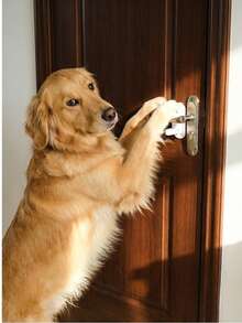 1 pièce Serrure de pour poignée de porte pour enfants, s'adapte aux portes, verrou de poignée de porte anti-bébé pour enfants et animaux de compagnie - Loquet de porte anti-enfant - Empêche les jeunes enfants d'ouvrir les portes - Utilisation facile à une seule main pour les adultes - ABS durable avec adhésif au dos - Aucun outil requis (couleur aléatoire) - Multicolore - Voir 4