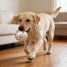 1个TPR材质带声音的狗狗咀嚼玩具，宠物用品 - 白色 - 查看 8