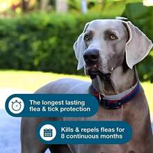 Medium To Large Breed Dog Collars, Designed To Protect Against Fleas, Lice, And Ticks. Suitable For Dogs Over 18 Pounds, Providing Long-Term Protection For Up To 8 Months. - 灰色 - 查看 5