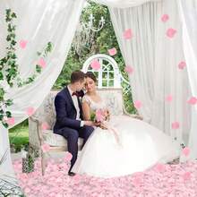 2000/4000片粉色玫瑰花瓣，适用于婚礼、求婚、周年纪念、浪漫之夜、春季装饰、家居装饰、婚礼装饰、花瓣、礼盒填充物、浪漫玫瑰、求婚玫瑰花瓣、生日礼物、返校用品、房间装饰、派对礼品、新娘送礼会、毕业典礼、单身派对等多种场合。 - 粉色 - 查看 7