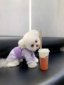 2pcs Pet Dog/Cat Clothes, Cute Shirt & Sweater Set, Suitable For Small Dogs And Cats, Spring/Autumn/Winter