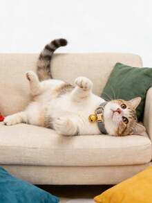 Plush Pet Collar With Bell, Cat Collar, Cute Kitten Necklace, Pet Supplies. Features An Adjustable Buckle And Detachable Bell, Easy To Wear, Durable, And Won't Fade Or Damage. Available In A Variety Of Eye-Catching Colors. Perfect For Everyday Wear To Prevent Your Pet From Getting Lost. A Perfect Gift For Pet Lovers. - Multicolor - View 8