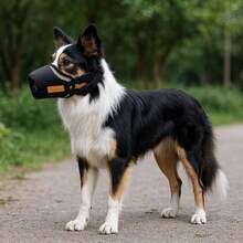 Bozal ajustable para perros, cubierta de boca para perros transpirable anti-mordedura y anti-ladrido - Negro - Ver 2