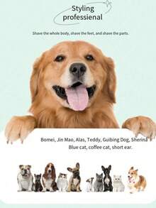 Bộ 1 máy cắt tỉa lông thú cưng sạc điện, máy tỉa lông chuyên nghiệp cho chó - Bao gồm máy tỉa lông chân, hoạt động êm ái và hiệu quả, phù hợp cho sử dụng tại nhà và thợ cắt tỉa chuyên nghiệp. - màu xanh lá - Xem 6