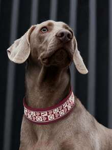 宠物项圈，宽反光狗项圈，狗项圈，狗狗用品，加宽宠物狗项圈，狗颈圈，大型犬项圈，夜间反光项圈，高密度耐用织带项圈，宠物配件，耐用耐磨 - 彩色 - 查看 7