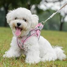 Anti-Escape Reflective Breathable Pet Chest Harness, Suitable For Medium & Small Pets - Pink - View 6