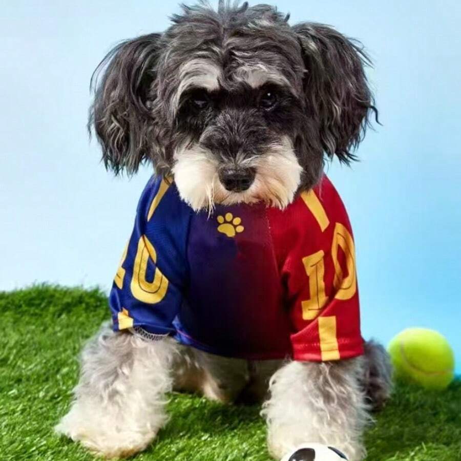 1 pieza Ropa deportiva universal para mascotas, gato o perro, con estampado de letras en degradado de moda y casual, uniforme cómodo para mascotas - Azul - Ver 1