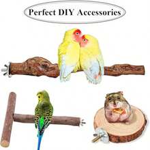 12 Juegos de tornillos para jaula de pjaros, Tuercas de fijacin para Soportes de Entrenamiento de Aves,Tuercas y Pernos para la construccin de Perchas para pjaros (M6 * 30/12 piezas) - m6 * 30 / 12 piezas - Ver 6