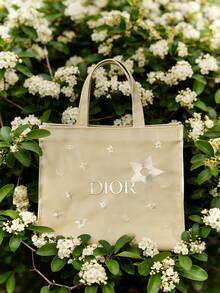 Dior Gold Star Mesh Tote Bag, Large Capacity Women's Luxury Cosmetic Bag, Travel Beauty Organizer Bag Shiny Party Handbag, Women's Gift, Bridesmaid Gift Fashion Designer Women & Girls Toiletry Bag - Champagne - View 5