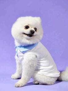 宠物狗衣服，T恤，背心，Polo衫，休闲可爱运动套装，适合泰迪犬、贵宾犬、马尔济斯犬、雪纳瑞犬等，四季皆宜 - 白色 - 查看 4