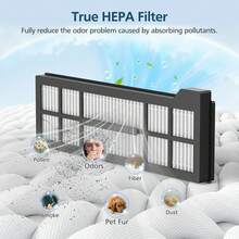 适用于 Eufy X10 Pro Omni 系列吸尘器的替换零件，包括防缠绕滚刷、边刷、可水洗 HEPA 过滤器和清洁布，宠物友好套装 - 彩色 - 查看 6